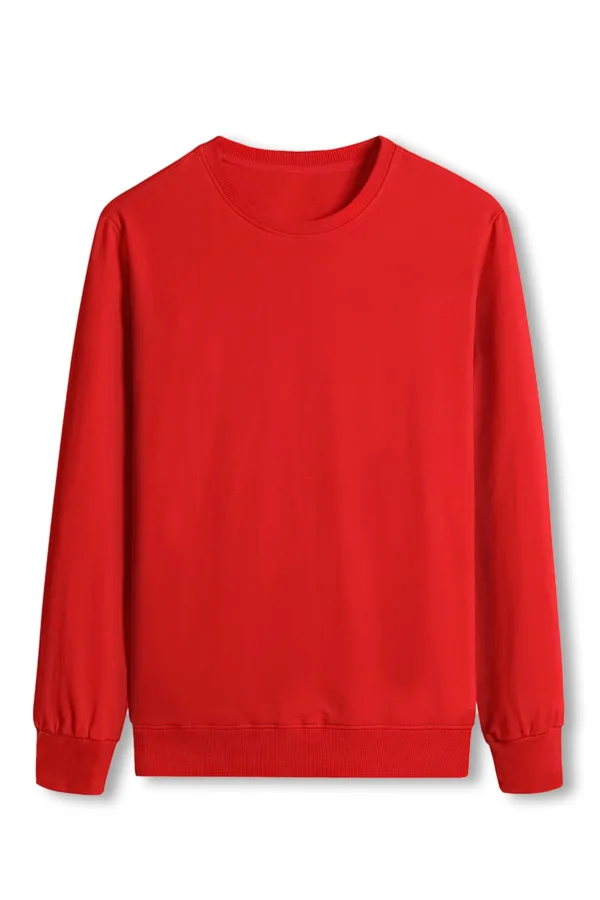 Bisiklet Yaka Pamuklu Penye Sweatshirt 2'li Avantaj Paket-alttext3